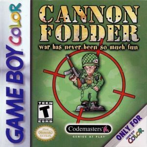 Cannon Fodder ROM