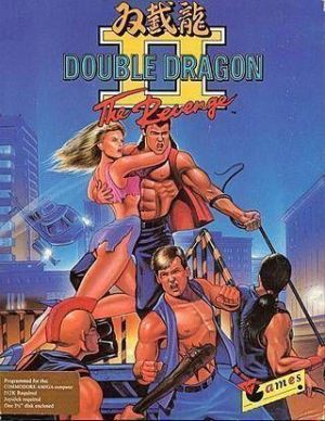 Double Dragon 2 ROM