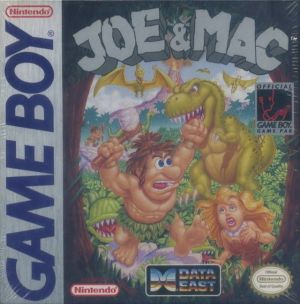 Joe & Mac ROM