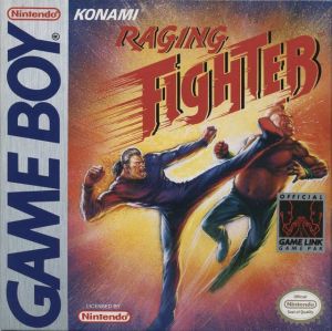 Raging Fighter ROM