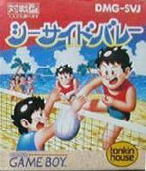 Seaside Volley ROM