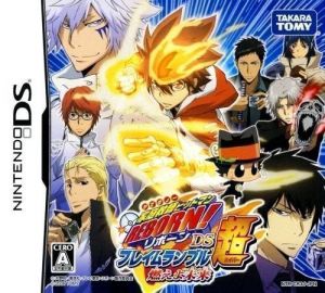 Katekyoo Hitman Reborn! DS Flame Rumble Gaikyoushuu ROM