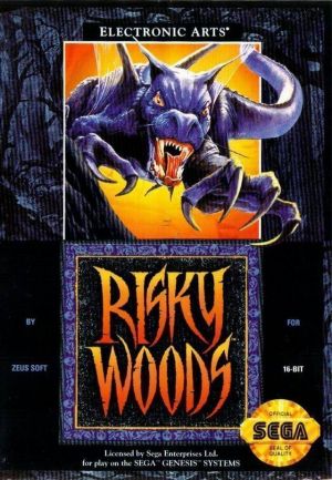 Risky Woods ROM