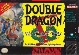 Double Dragon V - The Shadow Falls ROM