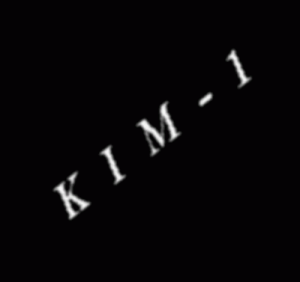 Kim 1 (PD) ROM