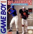 Bo Jackson Hit And Run