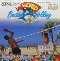 World Beach Volleyball 1991 GB Cup