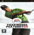 Tiger Woods PGA Tour 09